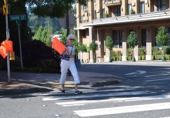 image of pedestrian carrying flag in crosswalk