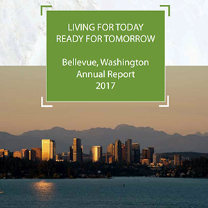 image of 2017 Annual Report cover