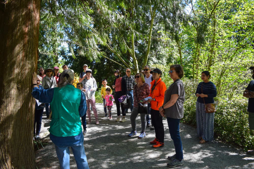 Community members at EarthFest 2024 gathered around a tree with a Bellevue Botanical Garden docent on a tour.
