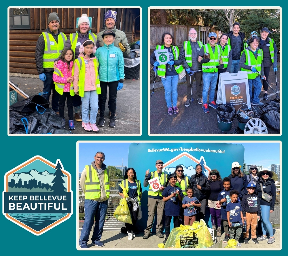 keep bellevue beautiful cleanup photos