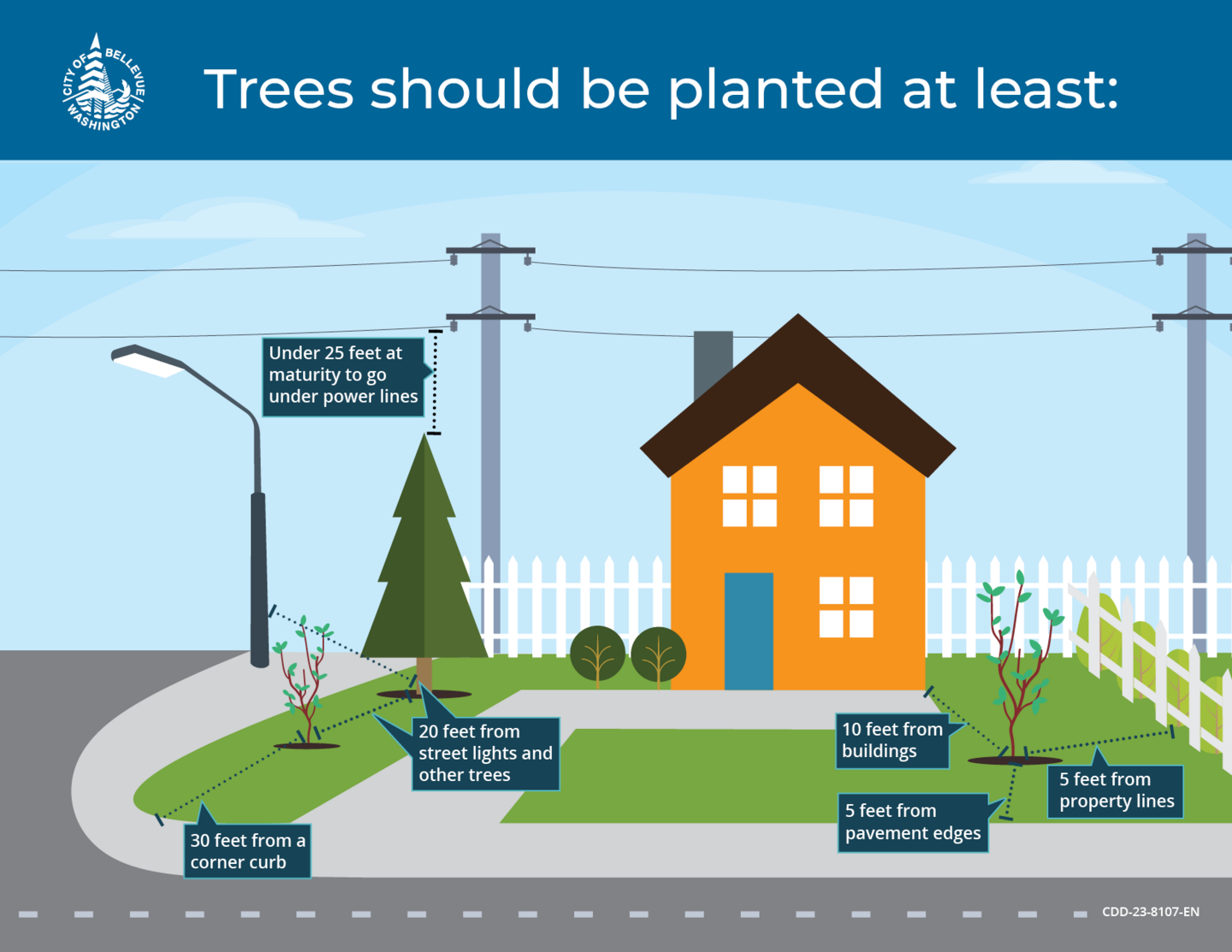 Diagram illustrating how to plant a tree to avoid structural damage. 