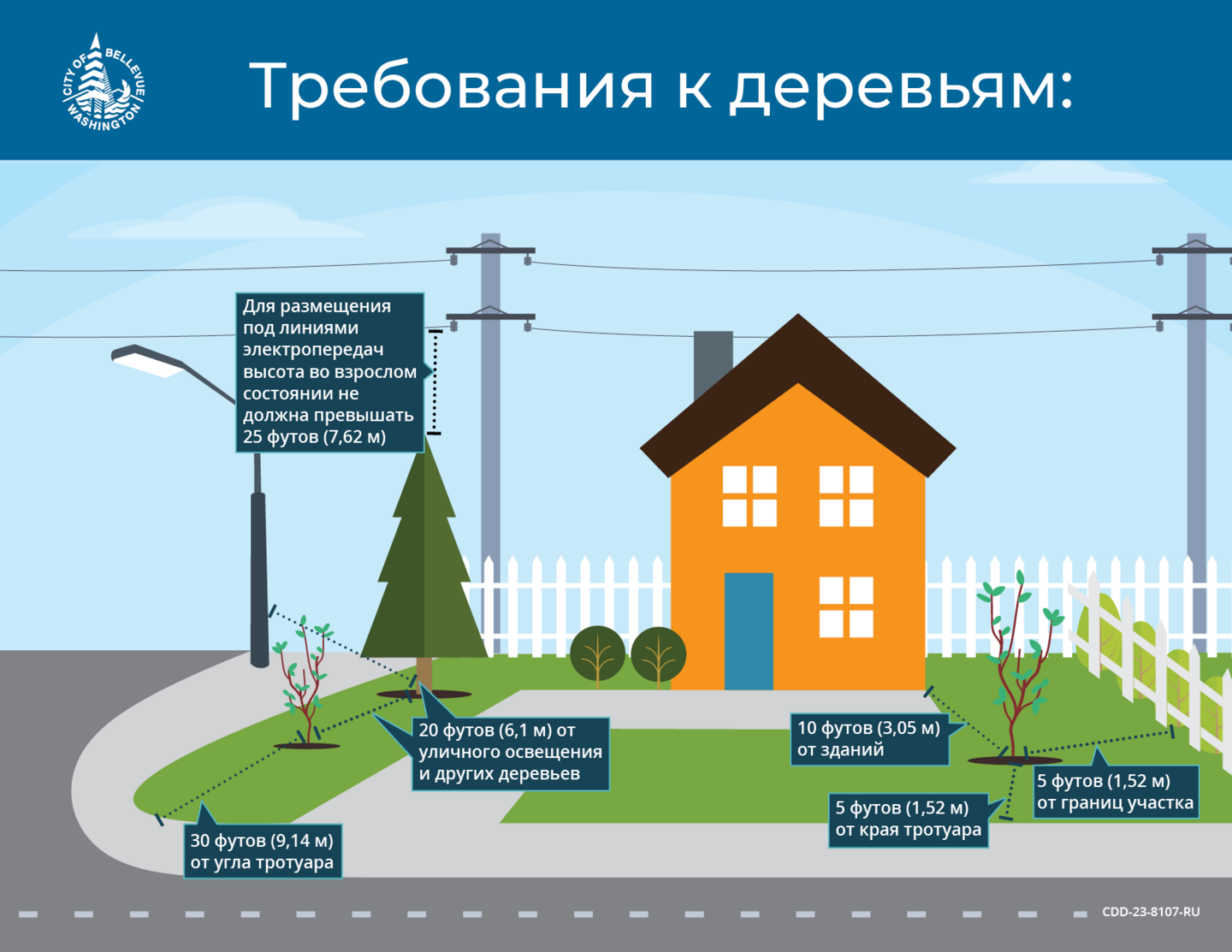 Правильное дерево в правильном месте  