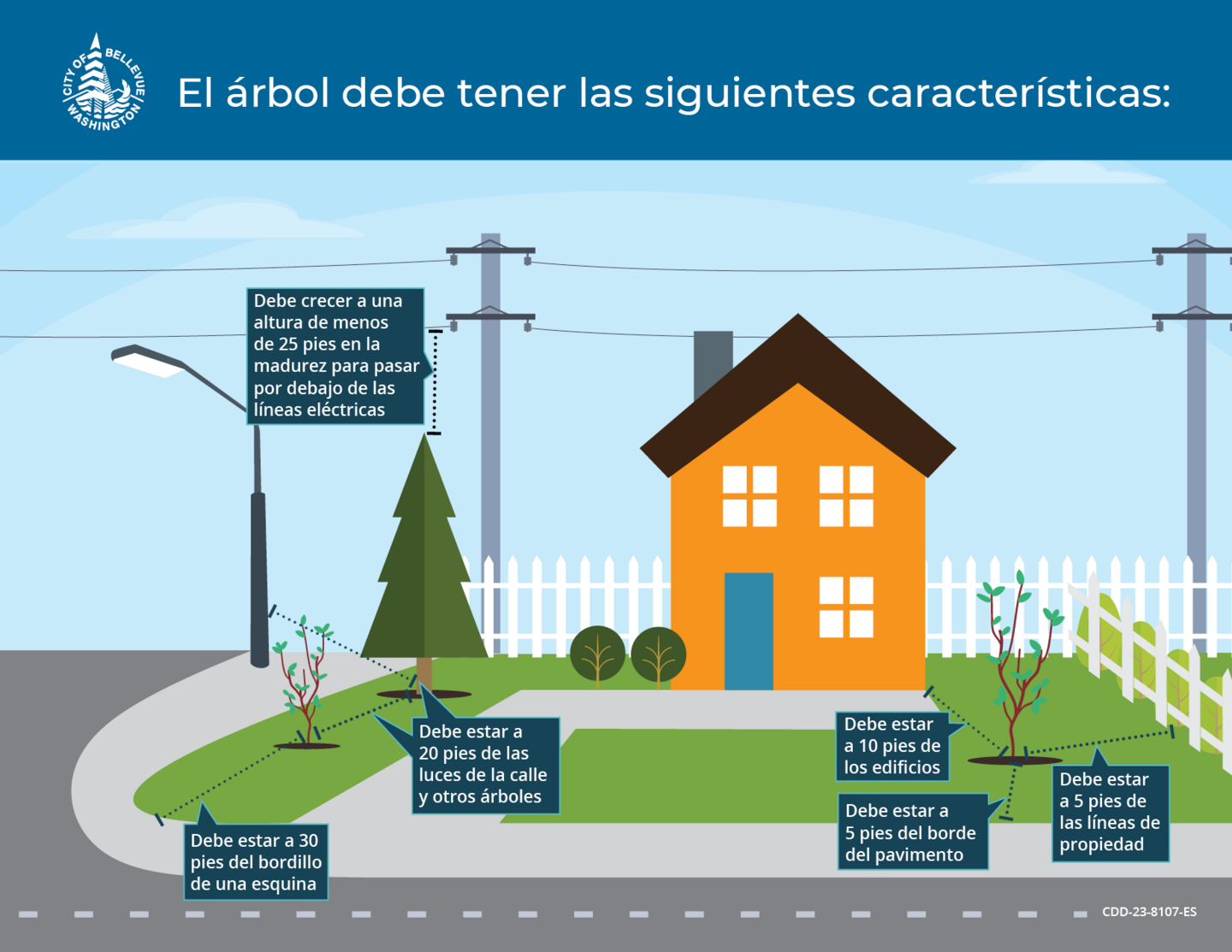 "El árbol correcto en el lugar adecuado"