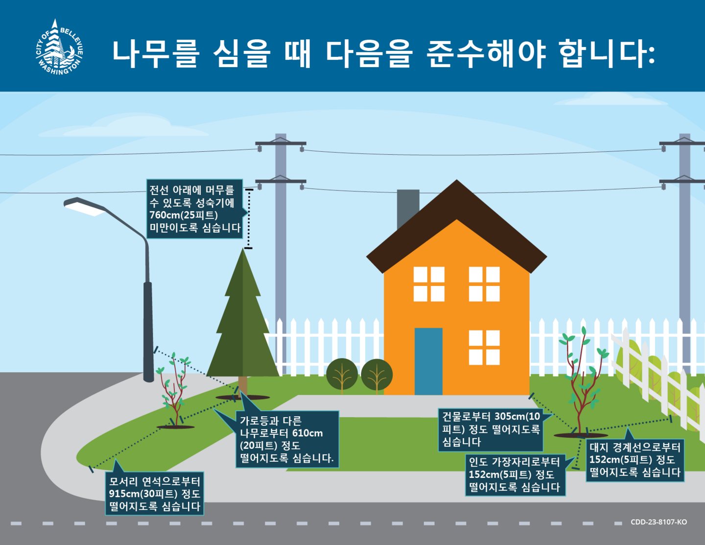 적합한 나무를, 적합한 장소에  