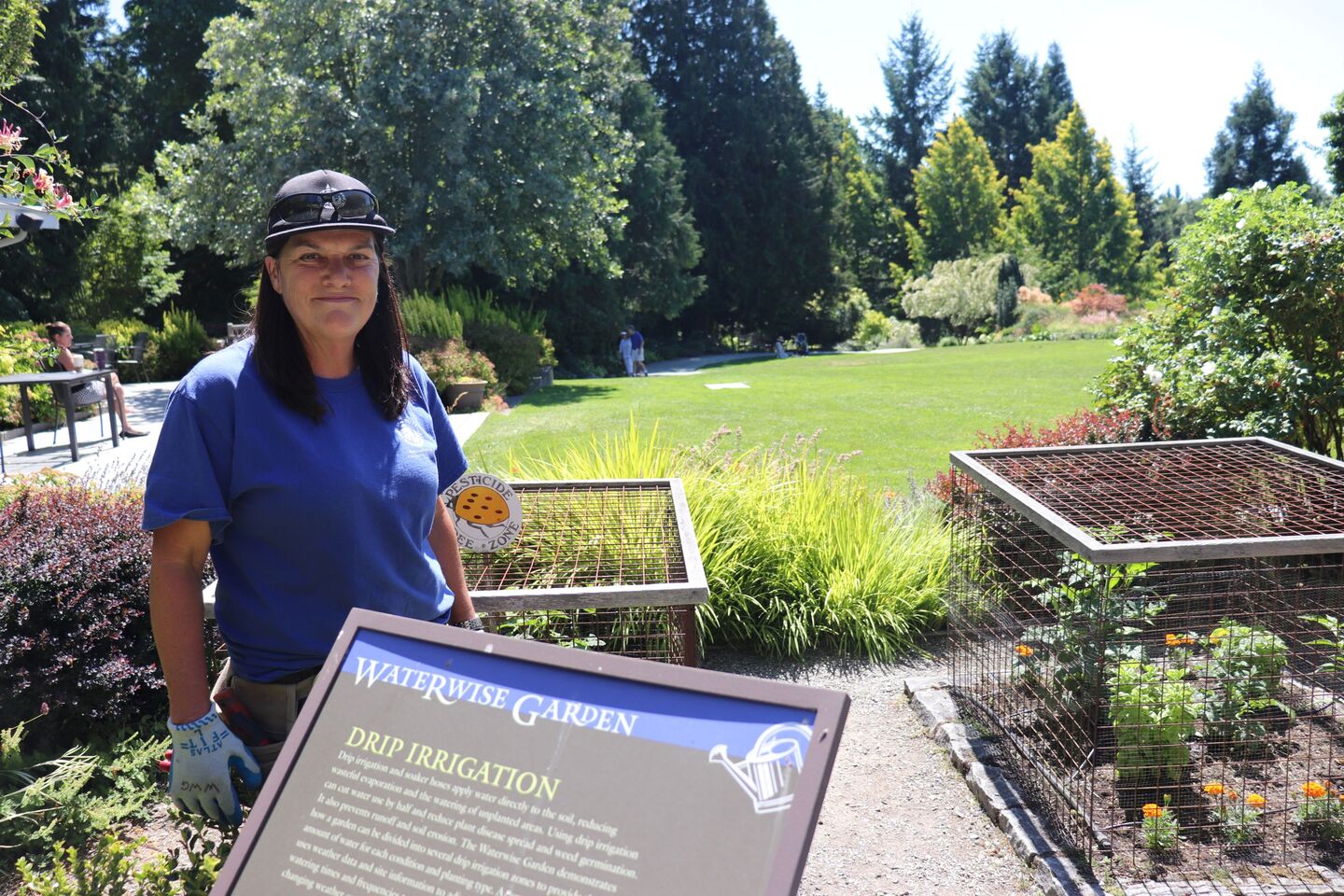 Waterwise Garden