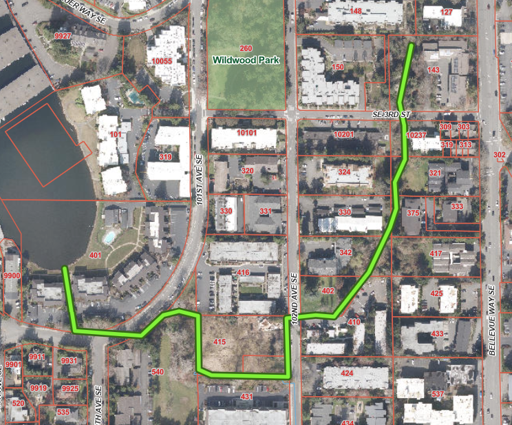 Green Dye at Meydenbauer Creek