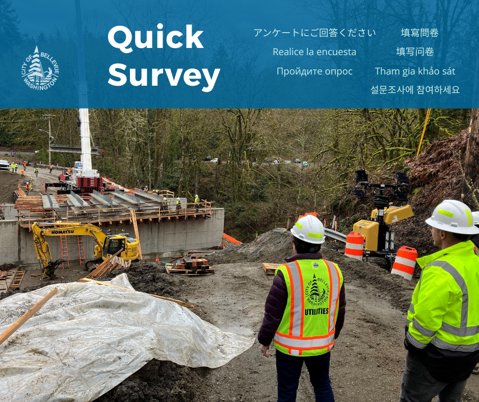 Utilities Quick Survey Graphic