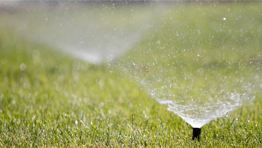 water sprinklers on green lawn