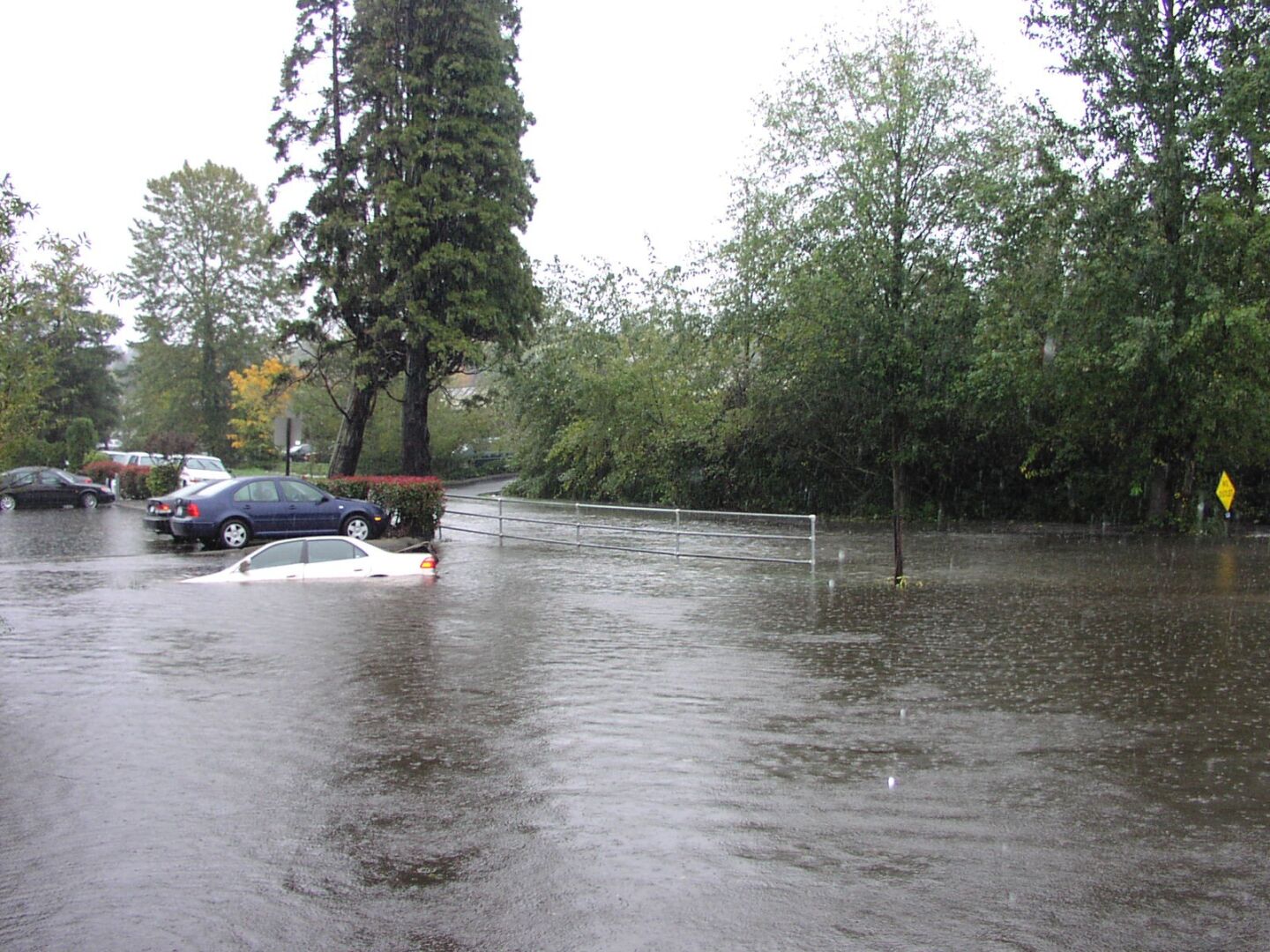 Flooding at NE 21st Street in 2003