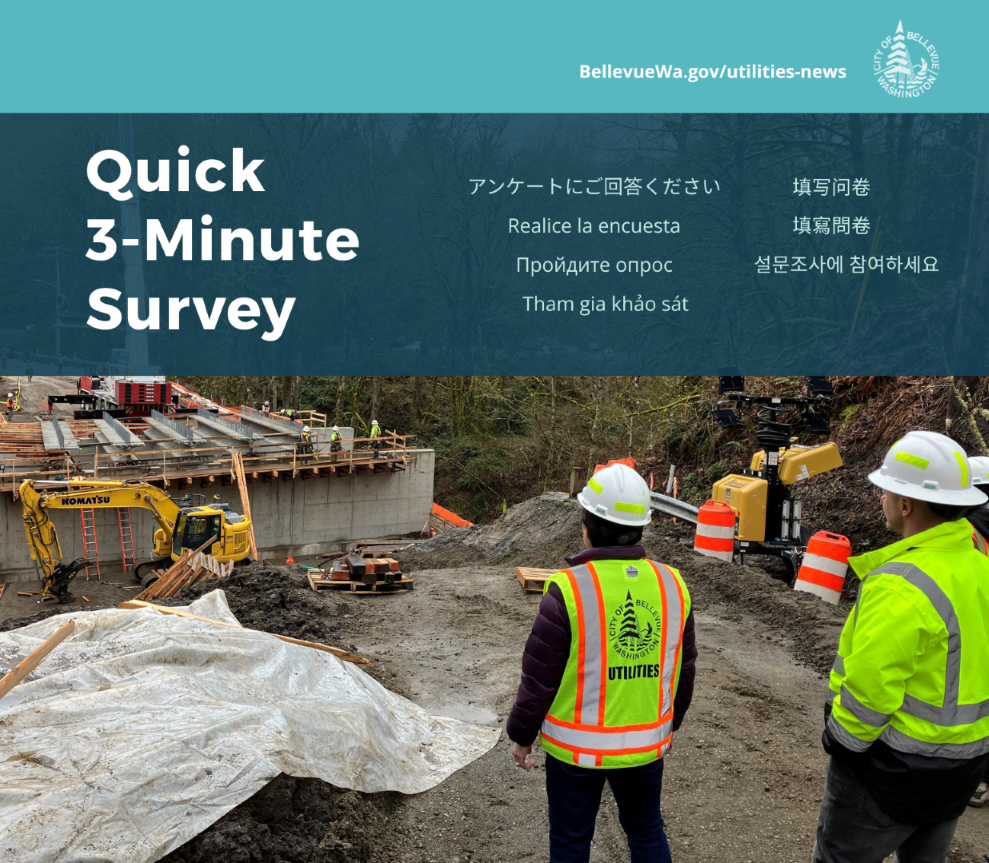 Utilities Survey Flyer