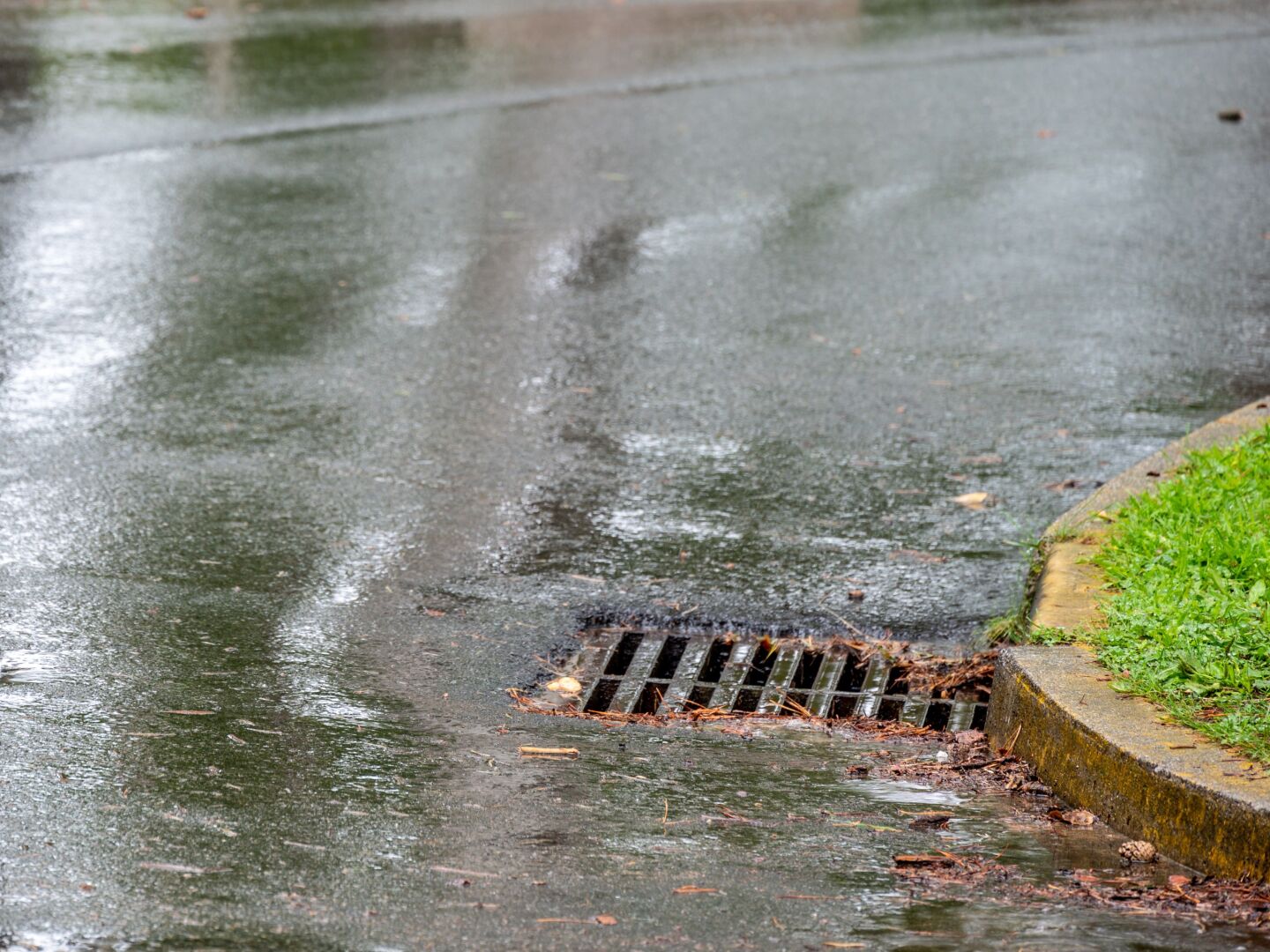 Image of a storm drain on a wet from rain neighborhood street. 