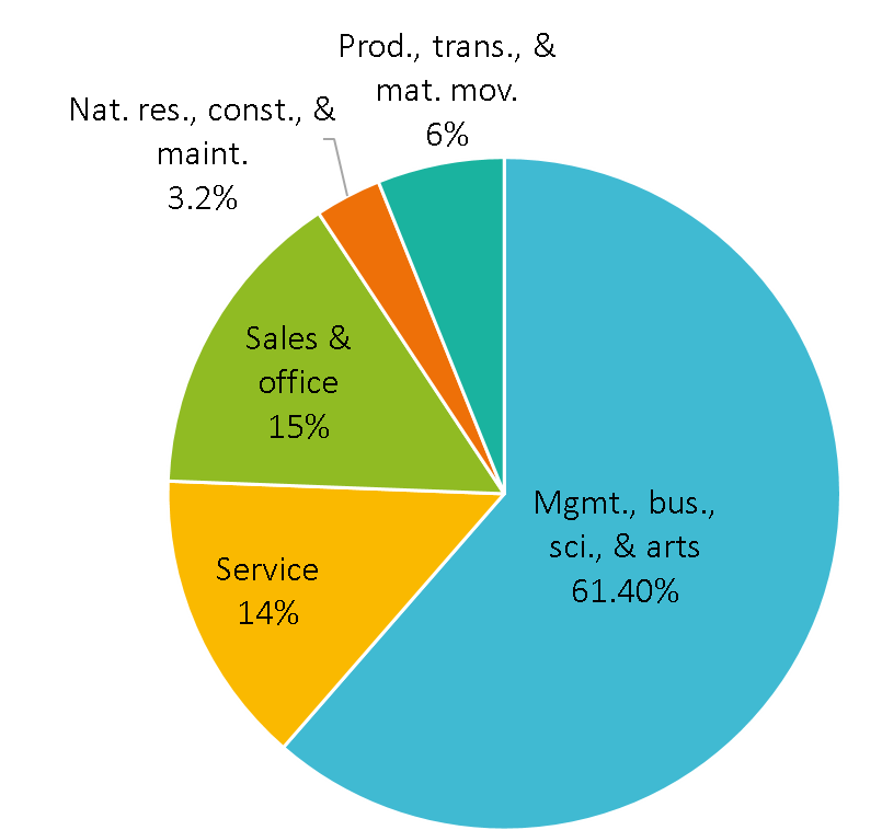 Occupation Distribution