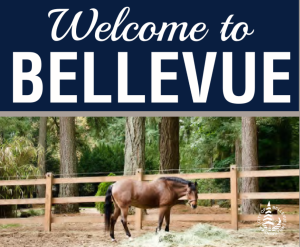 image of welcome to bellevue sign for bridle trails