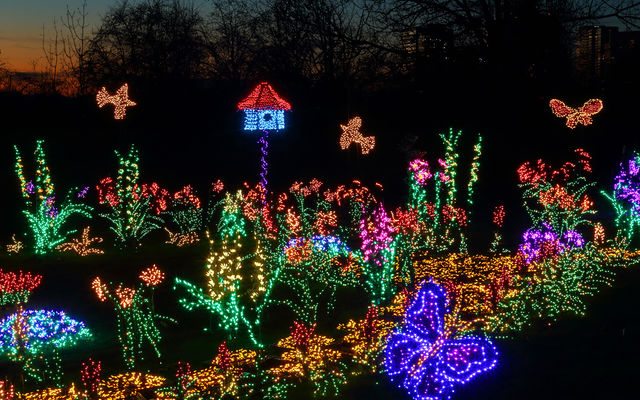 Garden D Lights Illuminates Holidays With Half A Million Lights