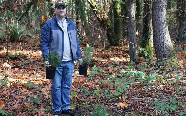 Forest management supervisor Rick Bailey holds two sequoia seedlings.