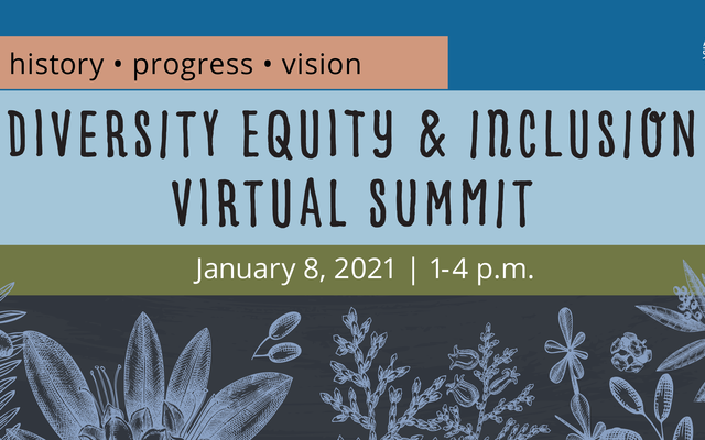 Diversity, Equity & Inclusion Summit image with date and time