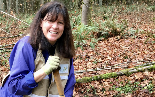 Kelly Gode, a Bellevue master naturalist, plants trees at Wilburton Hill Park.