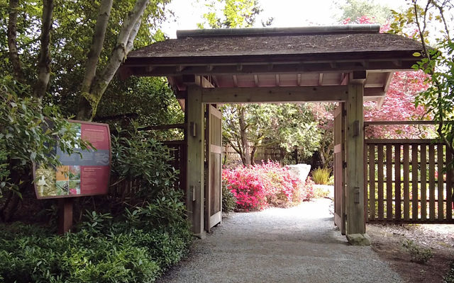 The Yao Garden is one of the attractions at the Bellevue Botanical Garden.