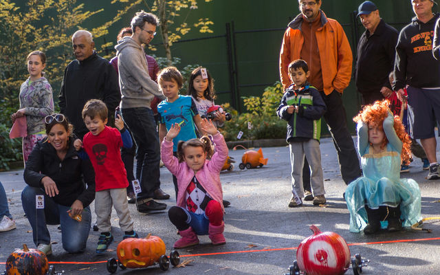 Children experience joy and agony at start of a Halloween on the Hill pumpkin race.