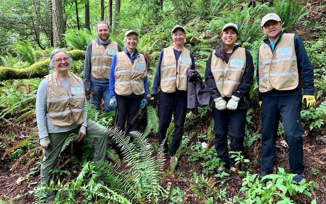 Bellevue naturalists help restore Weowna Park forest.