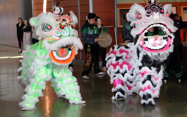 Lion dancers perform at City Hall. Lion  and dragon dancers are often part of the Lunar New Year celebration.