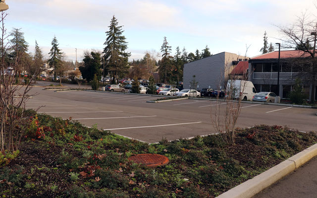 The city-owned parking lot for the safe parking pilot is next to a building where showers and case management will be available. 