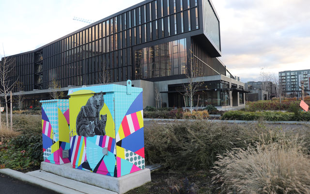 Artists have designed the wraps applied to utility boxes in BelRed.