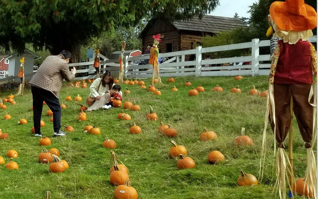 A family poses for a picture in the fair pumpkin patch.