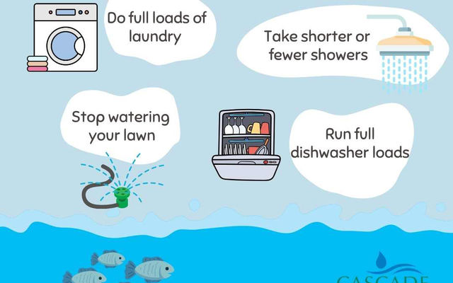 Shorter, fewer showers. Stop watering the lawn. Do full laundry and dishwasher loads.