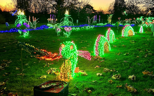 For Garden d'Lights, a dragon and other objects made of colored lights and rebar decorate Bellevue Botanical Garden.
