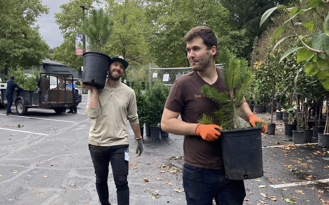 Residents take home trees during the 2023 tree giveaway.