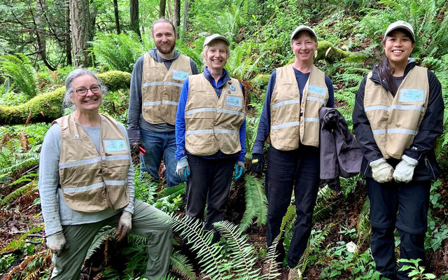 Bellevue naturalists Cindi Guyer, Steven Pestana, Jackie Desautels, Linda Hildreth and Rowena Clima participate in a training at Weowna Park.