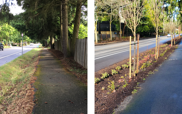164th Ave NE Before & After