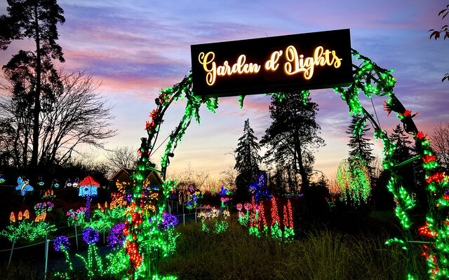 Image shows a lighted arch after sunset with brightly lit floral art in front of, under and around the arch, as well as trees in the backgroun. 