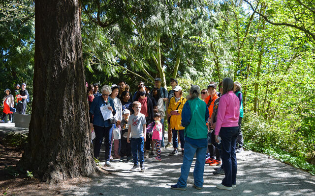 A group of people tours Bellevue Botanical Garden as part of Earthfest in 2024.