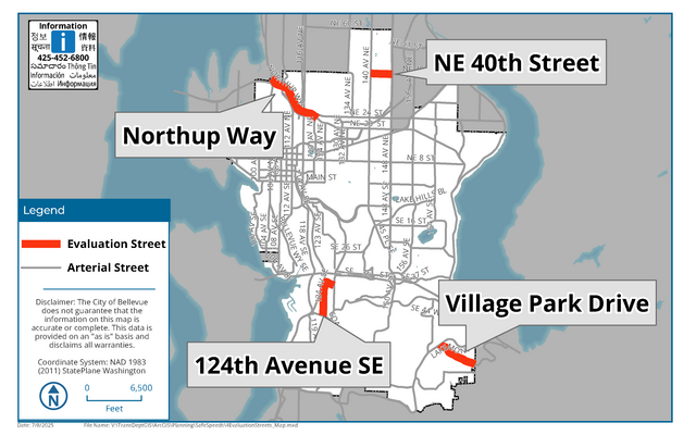 Safe streets evaluation map. Map shows four locations that have been marked with red.