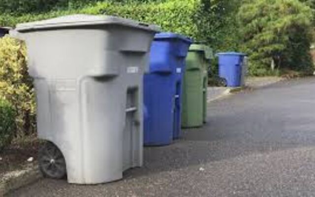 Row of garbage cans