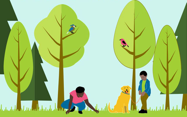 Illustration of woman, boy and dog among a variety of trees.