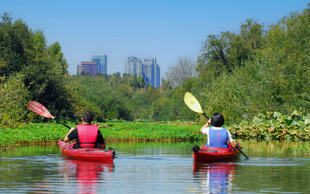 Two people kayak the Mercer Slough toward downtown Bellevue.