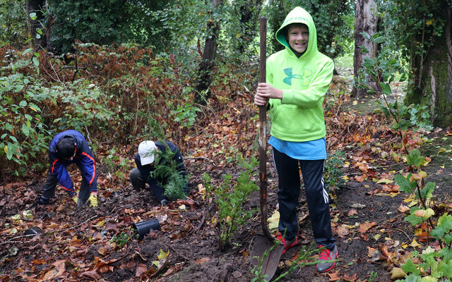 A boy with a shovel stands by a small tree he planted as others plant trees in the background.