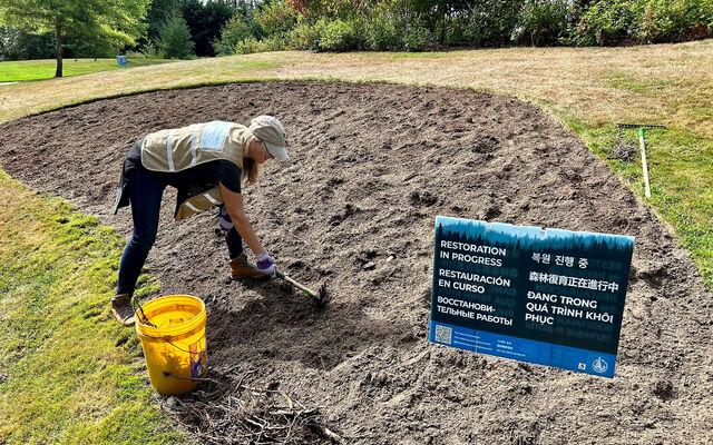 A Bellevue Naturalist maintains a restoration site.