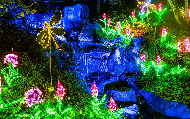 Garden d'Lights features at the Bellevue Botanical Garden