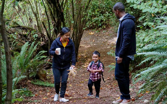 A man, woman and child walk along a forest trail.