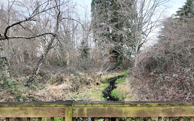 Kelsey Creek is a line of water running through forest by Lake Hills Boulevard.