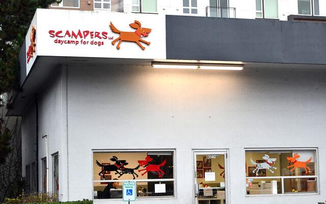 The sign for Scampers dog-sitting service is prominent on the building.