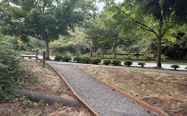 The existing culvert, a thick, black pipe, sticks halfway out of the ground from a field next to Lake Hills Boulevard.