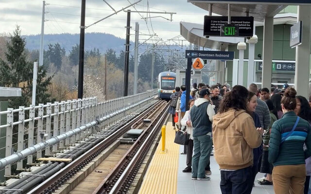 A crowd of people wait at a light rail station as a train arrives on the track.