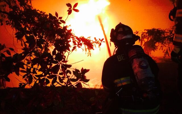 Firefighter in trees