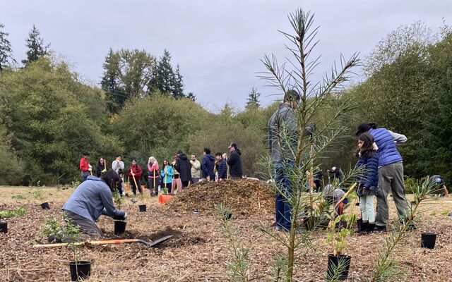 People planting trees in park.