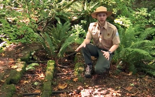 Coal-Creek-Ranger.jpg Coal-Creek-Ranger.jpg